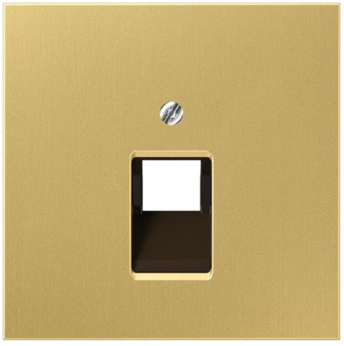 Лицевая панель Jung LS990 metal для 1-м. розетки RJ11/RJ45 латунь картинка